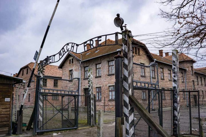 Więcej o: Oddanie hołdu ofiarom zbrodni hitlerowskich