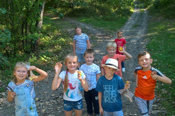 Więcej o: Spacer do lasu w poszukiwaniu darów jesieni!